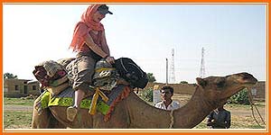 Camel Safari in Osiyan