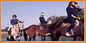 Horse safaris - Rohetgarh